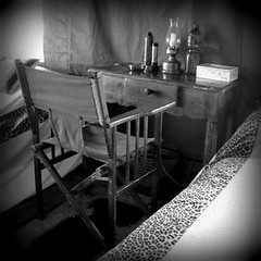 Safari writing desk